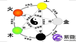 白蜡金命适合住几楼(白蜡金命适合养什么植物)