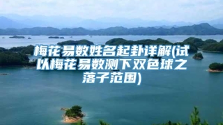 梅花易数姓名起卦详解(试以梅花易数测下双色球之落子范围)