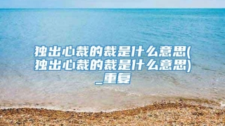 独出心裁的裁是什么意思(独出心裁的裁是什么意思)_重复