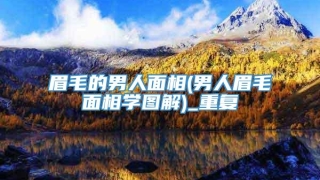 眉毛的男人面相(男人眉毛面相学图解)_重复