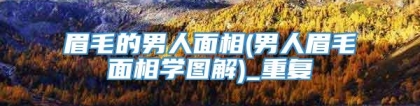眉毛的男人面相(男人眉毛面相学图解)_重复