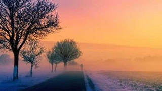 9在易经里代表什么(重阳说“九”古人眼中的神奇数字)