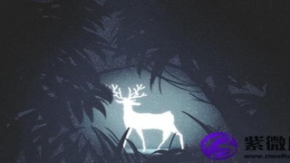 白蜡金命和白蜡金命相配吗(白蜡金女命的姻缘)