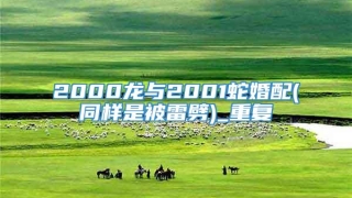 2000龙与2001蛇婚配(同样是被雷劈)_重复