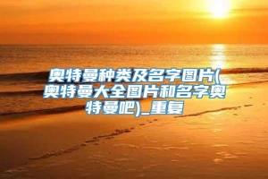 奥特曼种类及名字图片(奥特曼大全图片和名字奥特曼吧)_重复