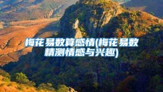 梅花易数算感情(梅花易数精测情感与兴趣)