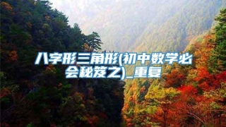 八字形三角形(初中数学必会秘笈之)_重复