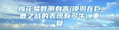 梅花易数测身高(项羽在巨鹿之战的表现有多牛)_重复