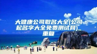 大健康公司取名大全(公司起名字大全免费测试网)_重复