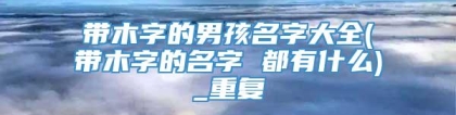 带木字的男孩名字大全(带木字的名字 都有什么)_重复