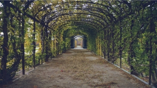 2020年12生肖每月运程(2020年运势详解免费)_重复