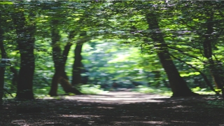 梦到被一个男人疯狂的追求(梦见一个男的疯狂追求自己)