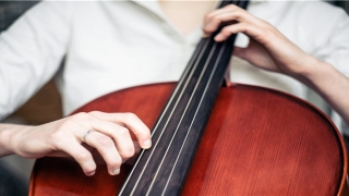 面相算命大全(面相 命宫)