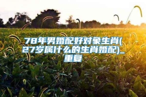 78年男婚配好对象生肖(27岁属什么的生肖婚配)_重复