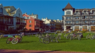 2021网络名字(2021 网络流行语)_重复