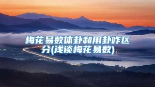 梅花易数体卦和用卦咋区分(浅谈梅花易数)