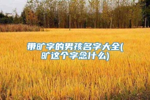 带旷字的男孩名字大全(旷这个字念什么)