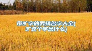 带旷字的男孩名字大全(旷这个字念什么)