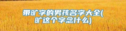 带旷字的男孩名字大全(旷这个字念什么)