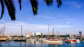 局王经典解梦查码(王中王今日开奖结果查询)_重复