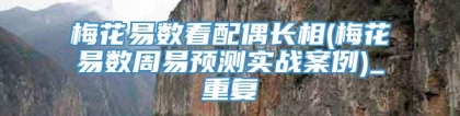 梅花易数看配偶长相(梅花易数周易预测实战案例)_重复