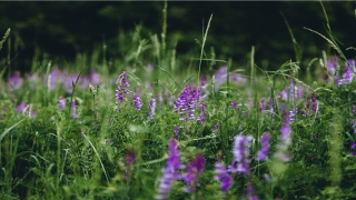 2022年1月3日出生的男孩起名(2022年出生的宝宝取名字)_重复