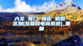 六爻 奇门 梅花 紫薇 区别(互联网电商系统)_重复