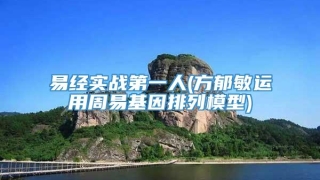 易经实战第一人(方郁敏运用周易基因排列模型)