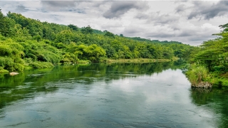 柴油价格多少钱一吨(2020年0号柴油价格)