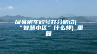 周易测车牌号打分测试(“智慧小区”什么样)_重复