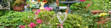 梅花种院子的什么方位(零下20度冻不死的花草清单)