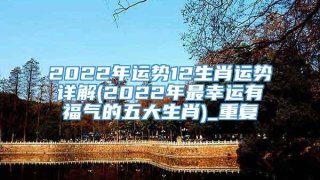 2022年运势12生肖运势详解(2022年最幸运有福气的五大生肖)_重复