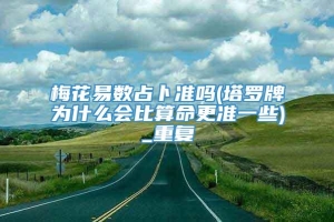 梅花易数占卜准吗(塔罗牌为什么会比算命更准一些)_重复