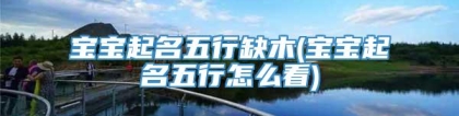 宝宝起名五行缺木(宝宝起名五行怎么看)
