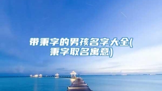 带秉字的男孩名字大全(秉字取名寓意)