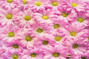 成都附近的算命高人(来成都街边算上一卦)