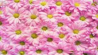 成都附近的算命高人(来成都街边算上一卦)