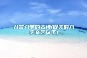 八言八字的古诗(很美的八字文艺句子)