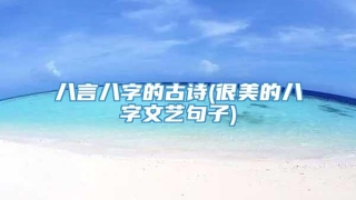 八言八字的古诗(很美的八字文艺句子)