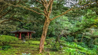 带颖字两个字好名字(用颖字取网名的寓意)