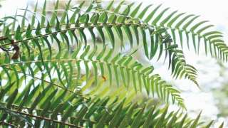 带翰字大气的男孩名字(带瀚字的男孩名字解析)