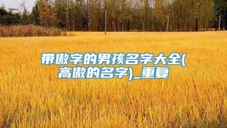 带傲字的男孩名字大全(高傲的名字)_重复