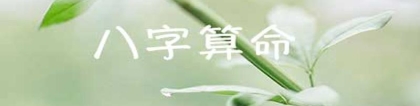 八字查询 免费(免费算命八字算终身)