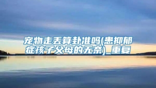 宠物走丢算卦准吗(患抑郁症孩子父母的无奈)_重复