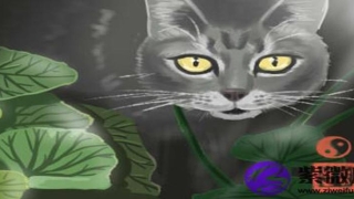 金命与什么相克(金命相克什么命)