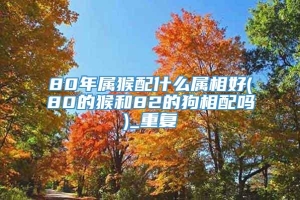 80年属猴配什么属相好(80的猴和82的狗相配吗)_重复