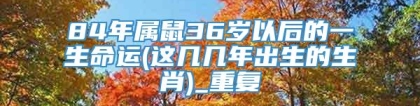 84年属鼠36岁以后的一生命运(这几几年出生的生肖)_重复