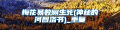 梅花易数测生死(神秘的河图洛书)_重复