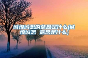 诚惶诚恐的意思是什么(诚惶诚恐 意思是什么)