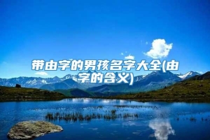 带由字的男孩名字大全(由字的含义)